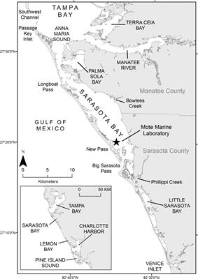 Paternity patterns in a long-term resident bottlenose dolphin community